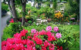 Mcauley Glen Boutique B&B